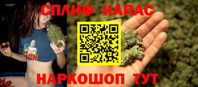 сатива Ирбит